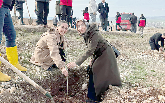 BEŞİRİ’DE 1000 FİDAN TOPRAKLA BULUŞTU