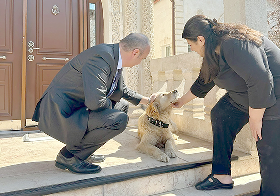 SOKAKTA BULUNAN SAHİPSİZ KÖPEK KONAĞIN YENİ ÜYESİ OLDU