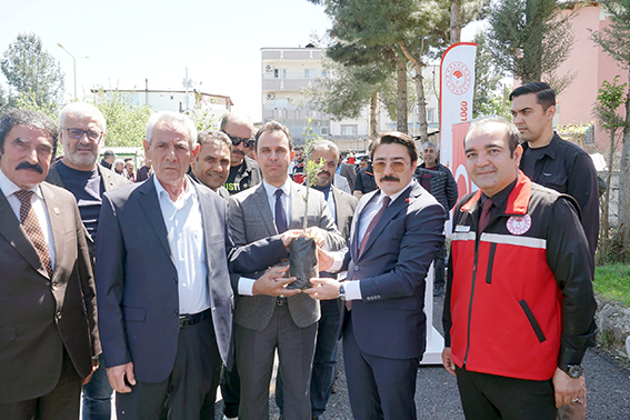 ÇİFTÇİLERE 2.500 ZEYTİN FİDANI DAĞITILDI