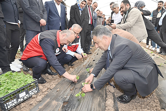 BALPINAR’DA 31 YENİ SERA KURULDU