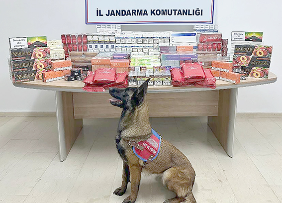 JANDARMA KAÇAKÇILARA GÖZ AÇTIRMIYOR