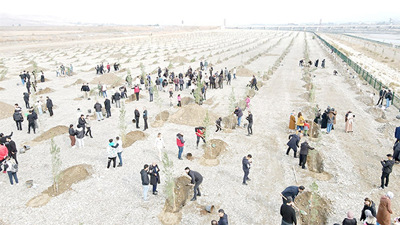 YEŞİL KUŞAK AĞAÇLANDIRMA FAALİYETLERİ DEVAM EDİYOR