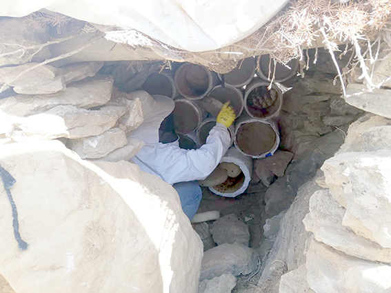 ARICILAR GERİ DÖNDÜ