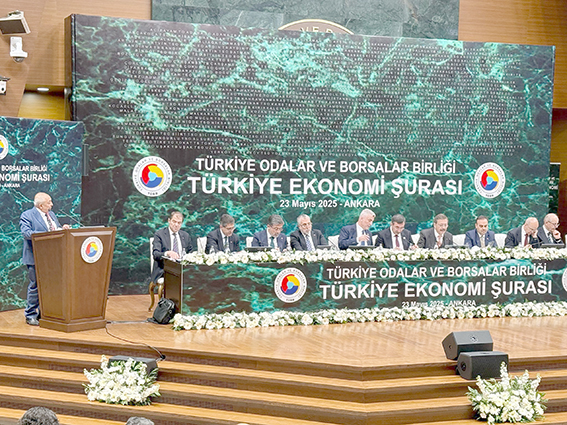 BAŞKAN GÜNEŞ, ŞURA’DA BATMAN İÇİN KONUŞTU