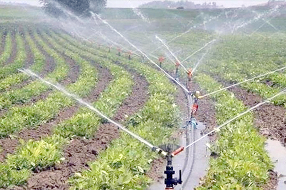“TARIMSAL SULAMADA İÇME SUYU KULLANILMAYACAK”