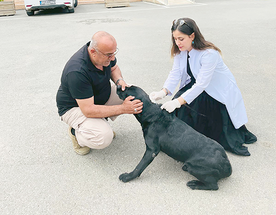 EV HAYVANLARINA MİKROÇİP İŞLEMLERİ DEVAM EDİYOR