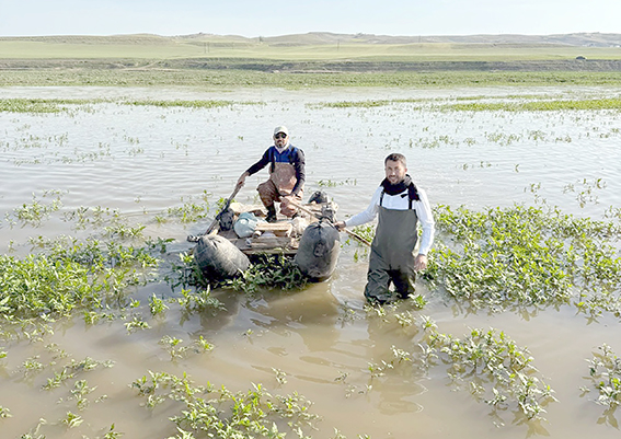 KAÇAK BALIK AVCILARINA CEZA