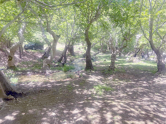 KINALI KÖYÜNE YENİ MESİRE ALANI MÜJDESİ