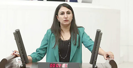 ODUNCU, KÜRTÇE İÇİN MECLİS ARAŞTIRMASI İSTEDİ