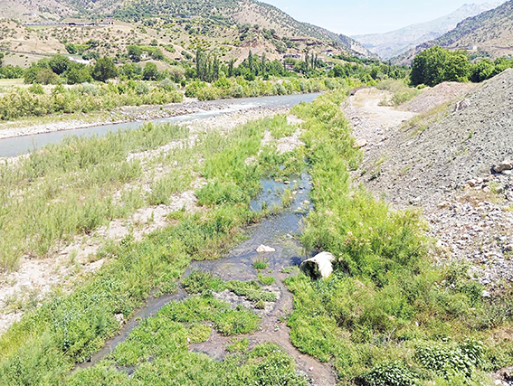 SASON ÇAYI’NDAKİ KİRLİLİK ENDİŞELENDİRİYOR