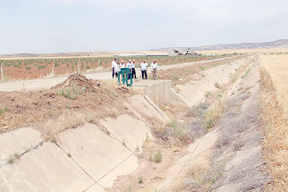 SULAMA KANALI ÇİLESİ