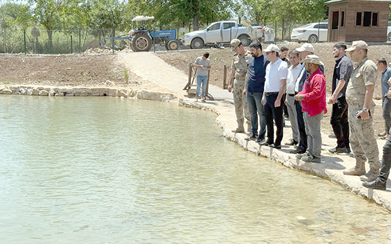 ERZEN BALIKLIGÖL ÇALIŞMALARI YERİNDE İNCELENDİ