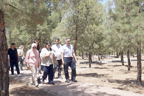 NASIROĞLU HATIRA ORMANI YENİLENİYOR