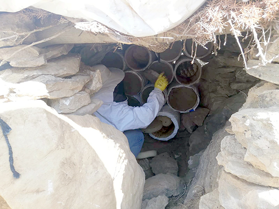 KARAKOVAN ARICILARI MERETO DAĞI’NA TAŞINDI