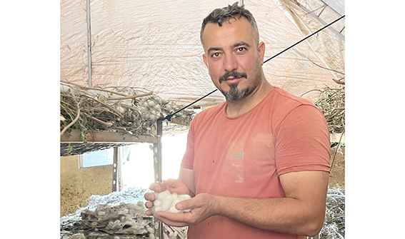 KOZA HASADI BAŞLADI