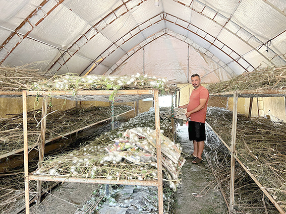 KOZA HASADI SASON’DA YÜZLERİ GÜLDÜRDÜ