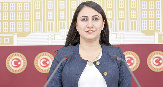 ODUNCU, MECLİSTE BATMAN’I ANLATTI