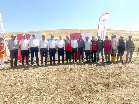 YAĞLIK AYÇİÇEĞİ EKİMİ YAYGINLAŞIYOR