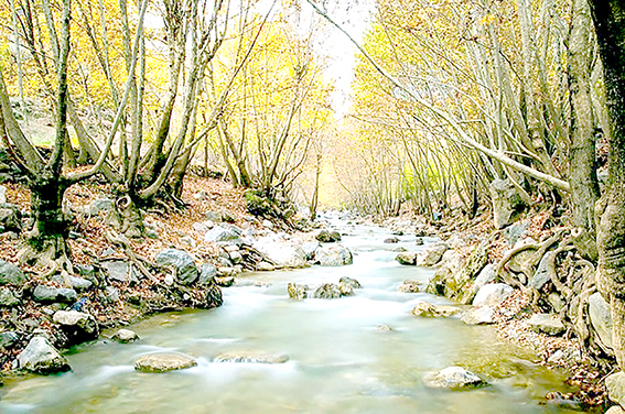 BATMAN’IN SAKLI CENNETİ: ANGEBİRE