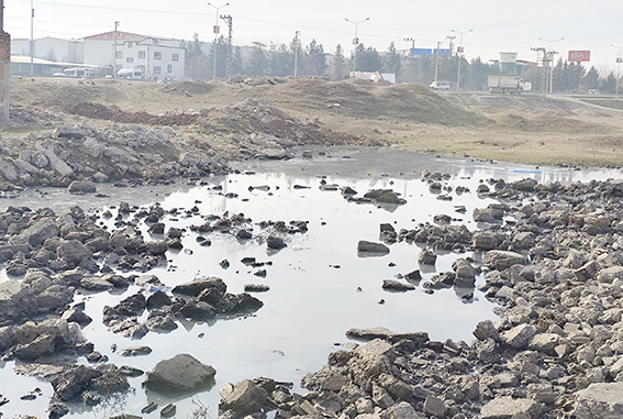 HAŞEREYLE MÜCADELEDE KALICI ÇÖZÜM