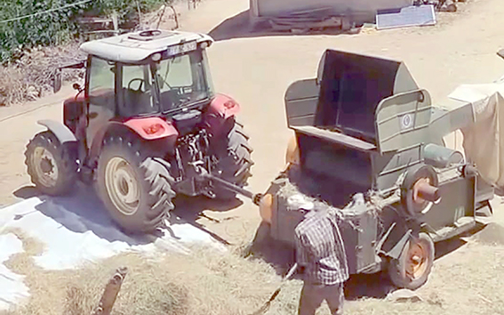 PATOZ MESAİSİ BAŞLADI