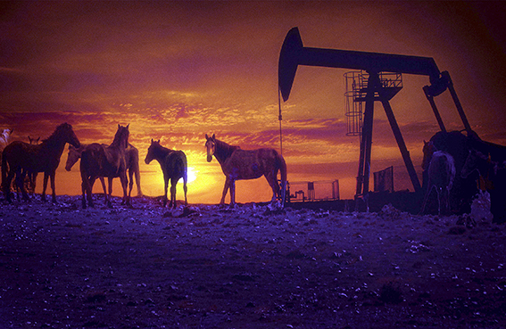 RAMAN’IN ÖZGÜR RUHLARI