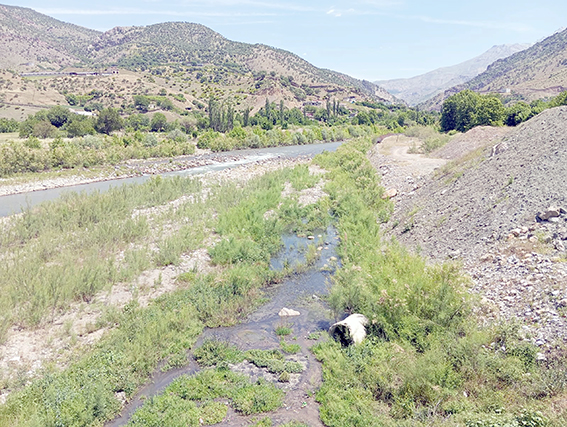 SASON ÇAYI KOKUSUNDAN GEÇİLMİYOR