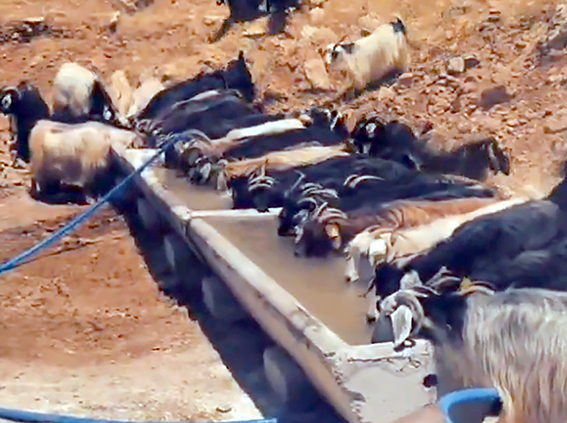 SERÇE PARMAK PROJESİ BAYIRLI KÖYÜNDE