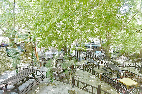 SEVEK MESİRE ALANI YENİLENDİ