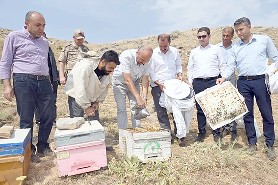 VALİ CANALP, COBET YAYLASI’NDA İLK BAL SAĞIMINA KATILDI