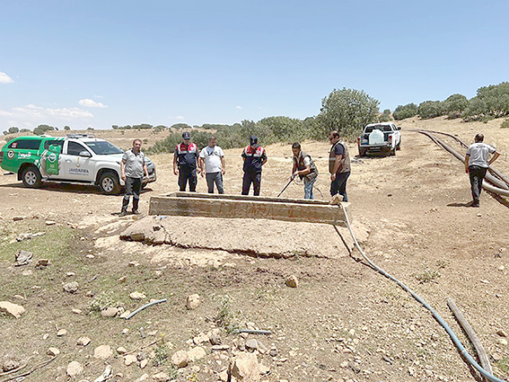 KUM KEKLİKLERİ SUYLA BULUŞTU