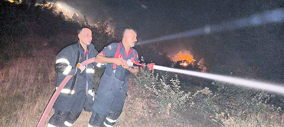 BELEDİYE İTFAİYESİ, LİCE’DEKİ ORMAN YANGININA DESTEK VERDİ