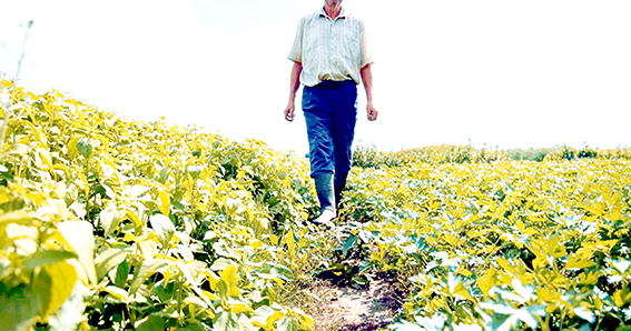 DİCLE ELEKTRİK’TEN VAHŞİ SULAMAYA DİKKAT ÇEKTİ