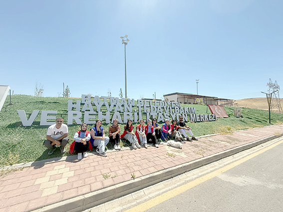 SAHİPSİZ HAYVANLARA GENÇLERDEN DESTEK