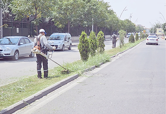 PARK VE YEŞİL ALANLARA KAPSAMLI BAKIM