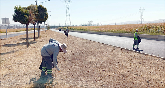YOL KENARINDAKİ ÇÖPLER TOPLANTI