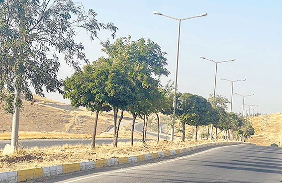 YEŞİL KUŞAK AĞAÇLANDIRMA ÇALIŞMALARI DEVAM EDİYOR