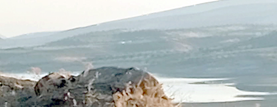 BARAJ, YEŞİLE DÖNDÜ