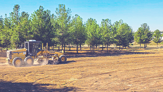 BULVAR CEPHESİNDE DÜZENLEME ÇALIŞMASI