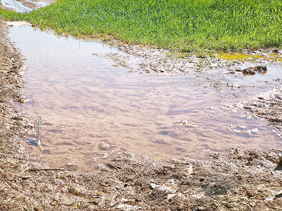 GÜNEYDOĞU’DA SU VE ENERJİ KAYNAKLARI ALARM VERİYOR!