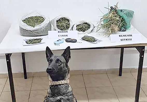 2 KİLO 706 GRAM KUBAR ESRAR ELE GEÇİRİLDİ