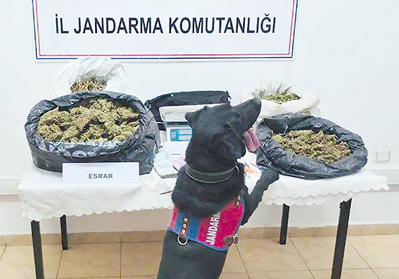 6 KİLO KUBAR ESRAR ELE GEÇİRİLDİ