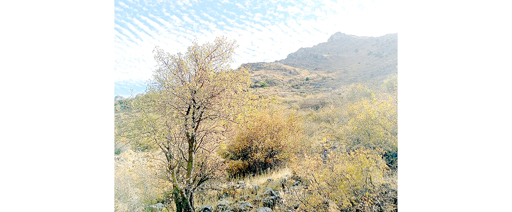 ÇİFTÇİLER UYARDI “YAĞIŞLAR YETERSİZ, KURAKLIK KAPIDA”