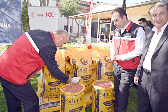 ÇİFTÇİLERE %75 HİBELİ MERCİMEK TOHUMU DESTEĞİ