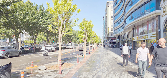 TURGUT ÖZAL BULVARI’NDA AĞAÇ DİKİM ÇALIŞMALARI DEVAM EDİYOR