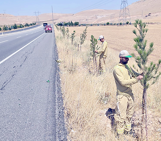 YEŞİL KUŞAK ÇALIŞMALARI ARALIKSIZ SÜRÜYOR