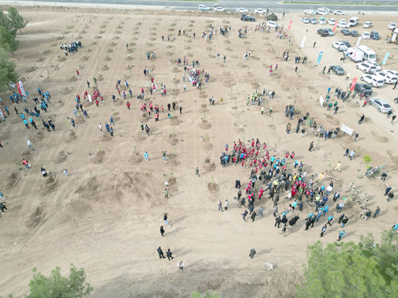 2 BİN 250 FİDAN TOPRAKLA BULUŞTU