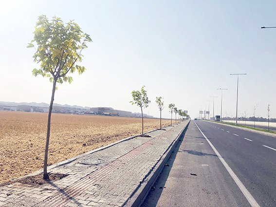 4.380 METRE UZUNLUĞUNDAKİ BULVAR YEŞİLLENDİRİLİYOR