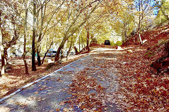 KINALI MESİRE ALANI YENİLENDİ