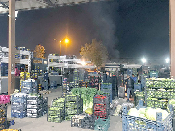 SEBZE VE MEYVE HALİNE 142 BİN TON GIDA GİRİŞİ SAĞLANDI
